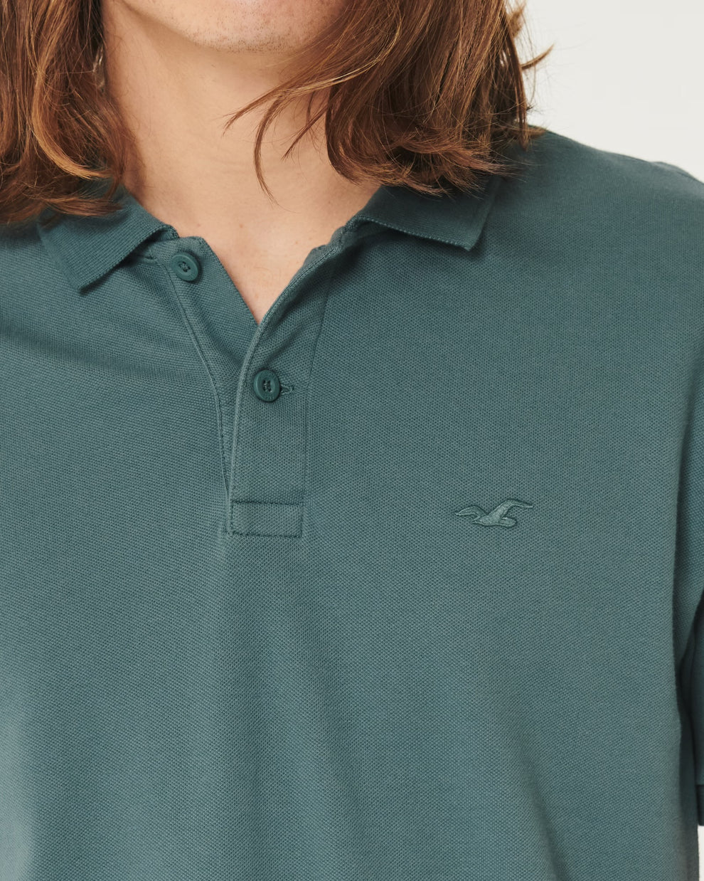 HOLLISTER ICON POLO